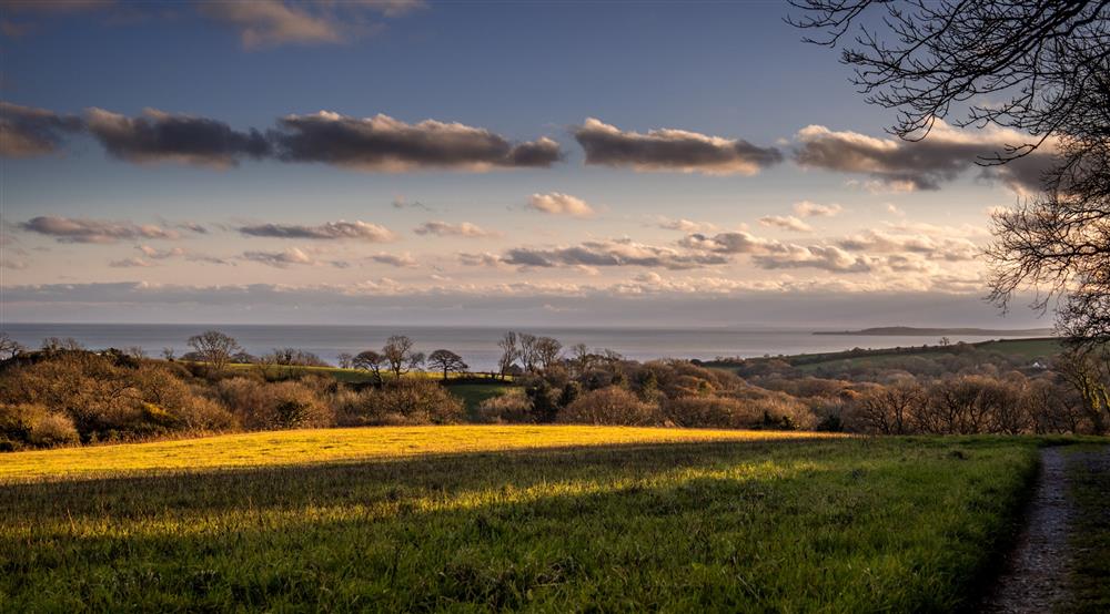 The area surrounding Little Craig-y-borion, Pembrokeshire (photo 4) at Little Craig-y-borion in Narberth, Pembrokeshire