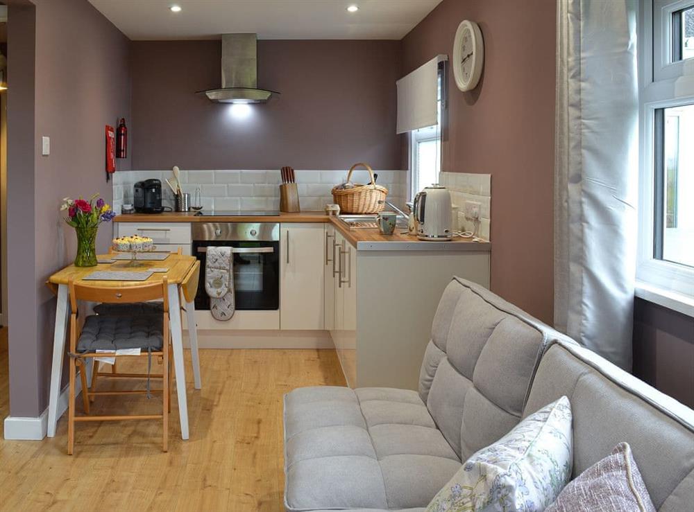 Open plan living space at Little Dartmoor View in Cheldon, near Chulmleigh, Devon