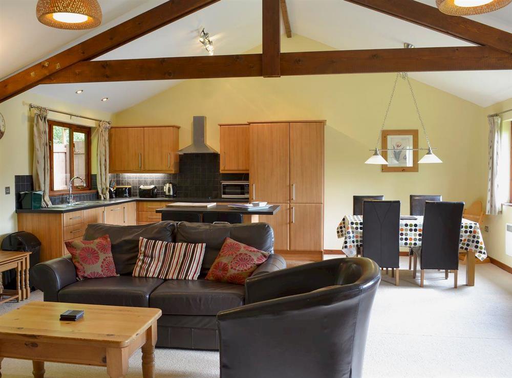 Open plan living space (photo 2) at Oaktree Cottage, 