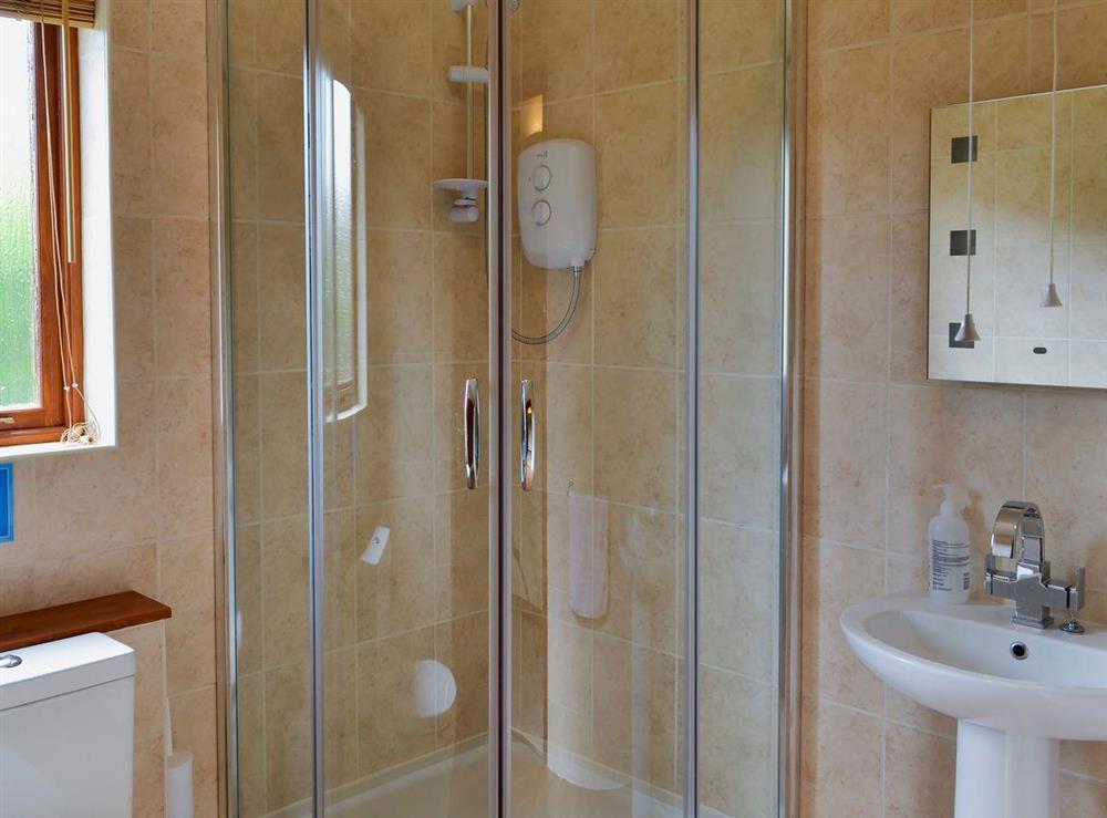 Shower room at Oaktree Cottage, 
