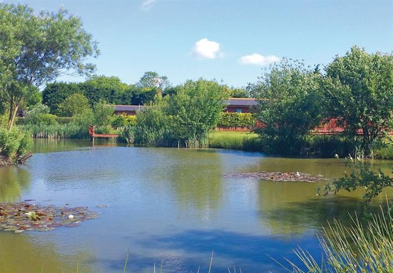 The park setting at Little Eden Country Park in Carnaby, Bridlington