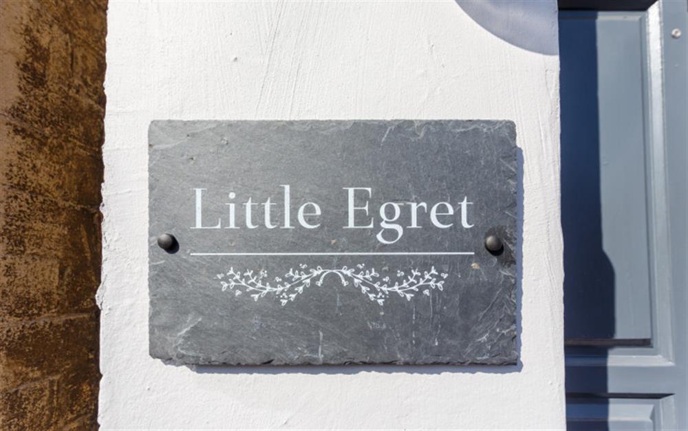 Photo of Little Egret at Little Egret in Lymington