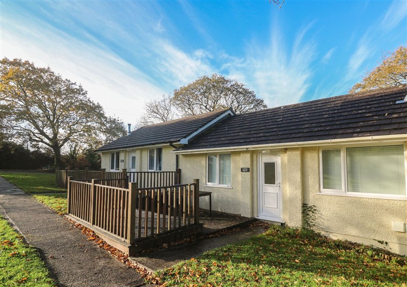 Outside at Little Egret - Number 2, Cury Cross Lanes