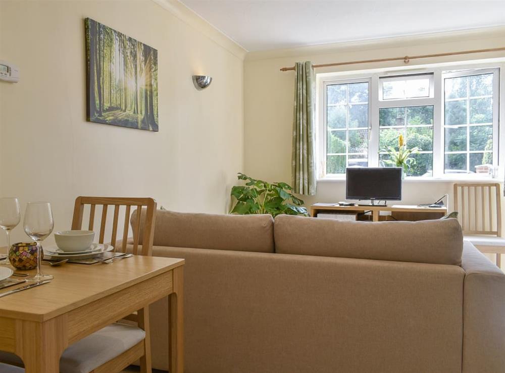 Open plan living space at Little Gables in Verwood, Dorset