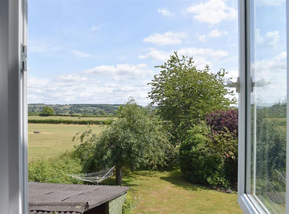 Picturesque views of the countryside at Little Glebe in Folke, near Sherbourne, Dorset