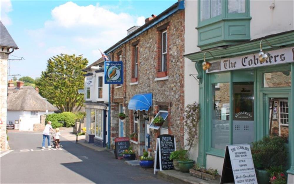 Colyton offers a selection of tearooms, shops and traditional pubs at Little Haven in Colyton