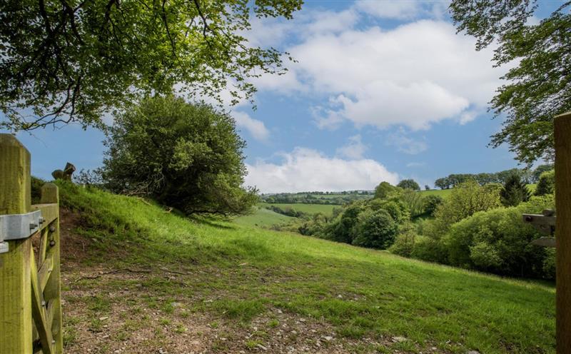 Rural landscape