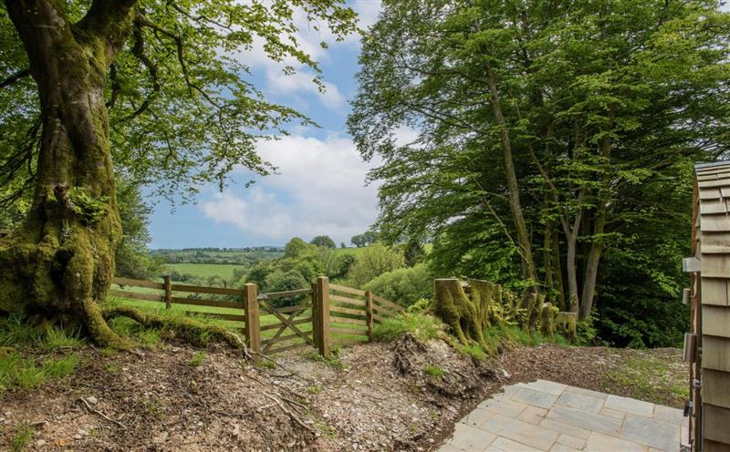 The area around Little House in the Big Woods