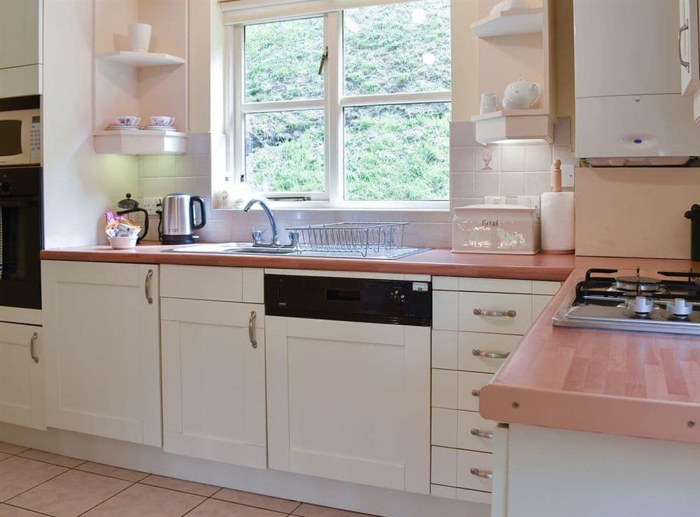 Well equipped kitchen at Little Larnick in Looe, Cornwall