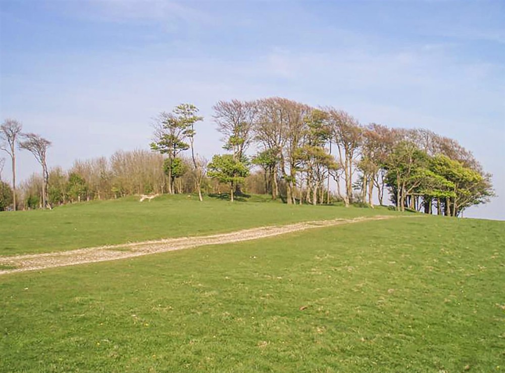 Outdoor area (photo 2) at Little Lock Cottage in Partridge Green, West Sussex