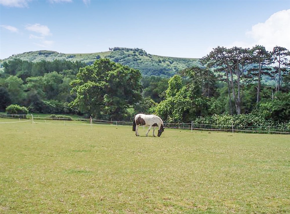 Outdoor area (photo 3) at Little Lock Cottage in Partridge Green, West Sussex