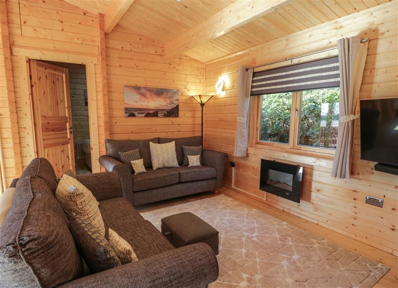 Enjoy the living room at Little Lodge, Balminnoch near Glenluce