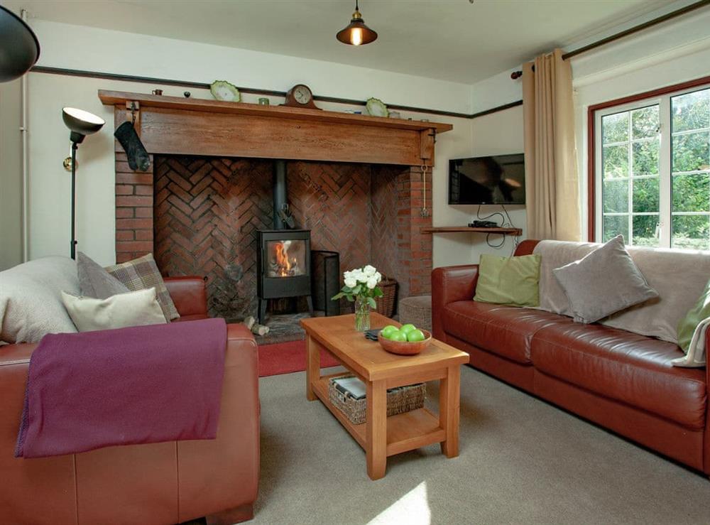 Living area at Little Meadow in Hexworthy, near Yelverton, Devon
