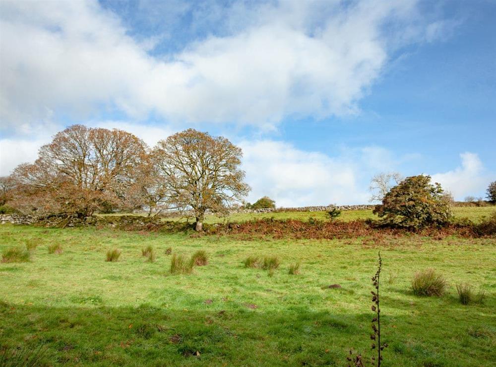 Surrounding area (photo 5) at Little Meadow in Hexworthy, near Yelverton, Devon