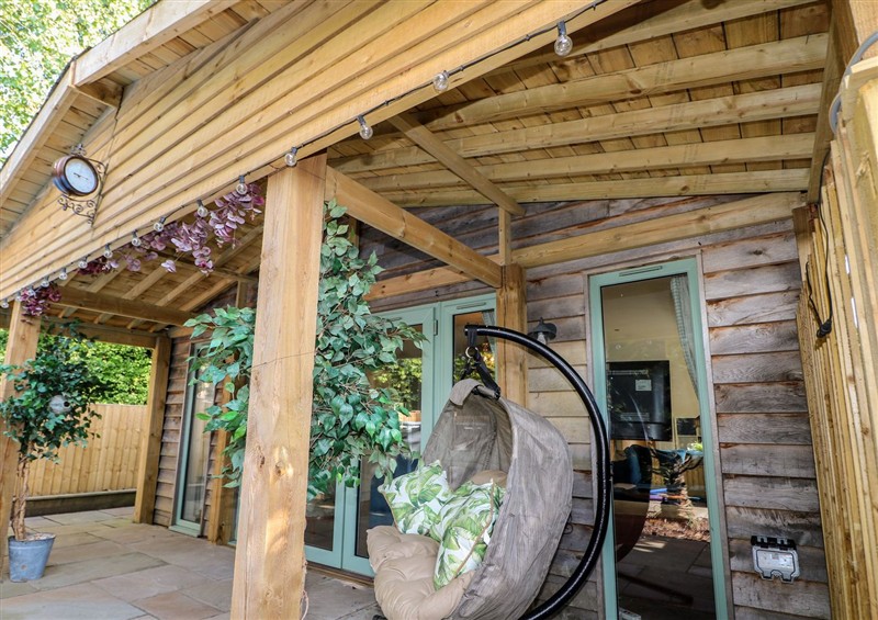 Outside at Little Nest, Medstead