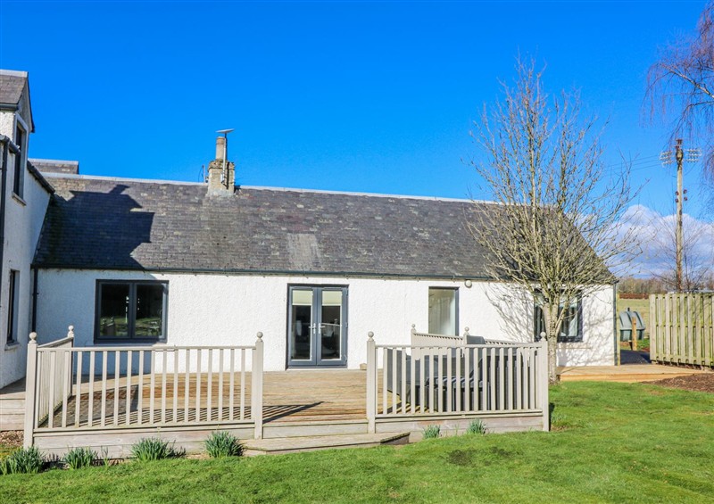 Outside at Little Norwood, Blairgowrie