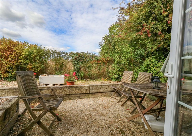The garden at Little Orchard, Chard
