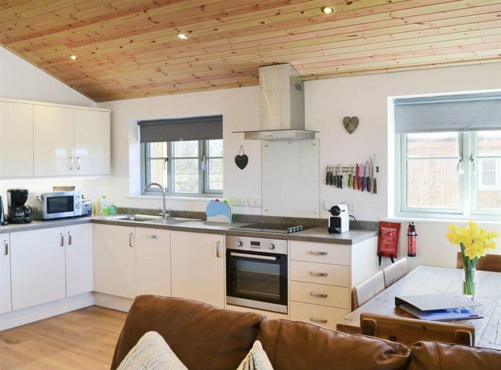 Open plan living/dining room/kitchen (photo 3) at Little Owl Lodge in St Columb, near Newquay, Cornwall