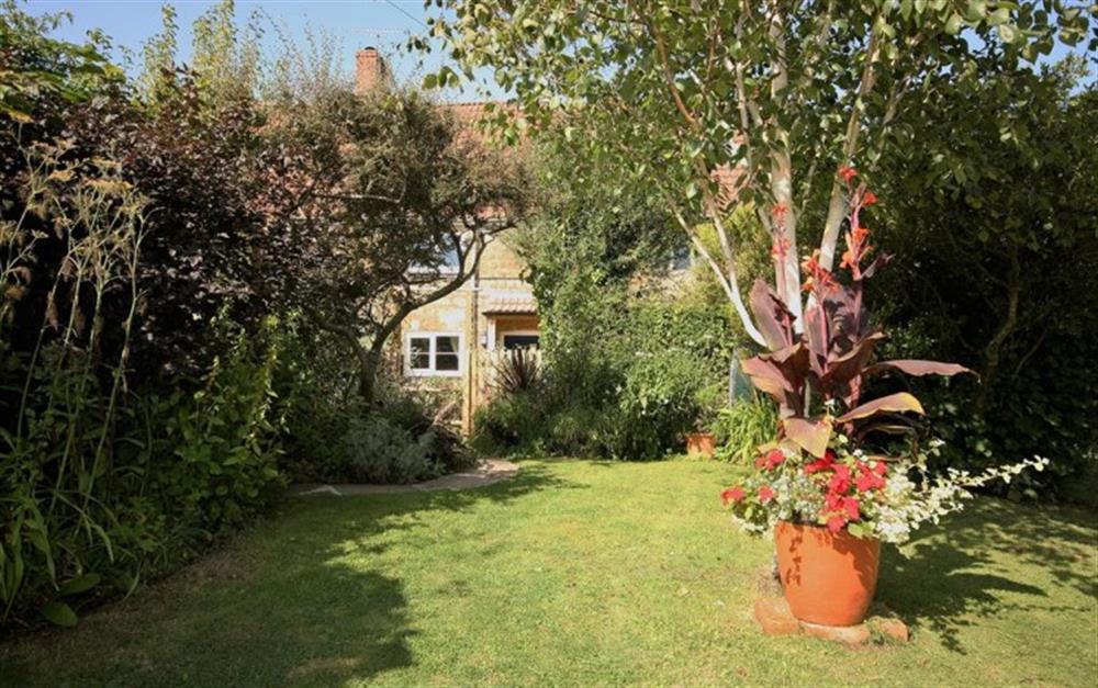 The attractive private garden is to the front at Little Perhay in Bridport