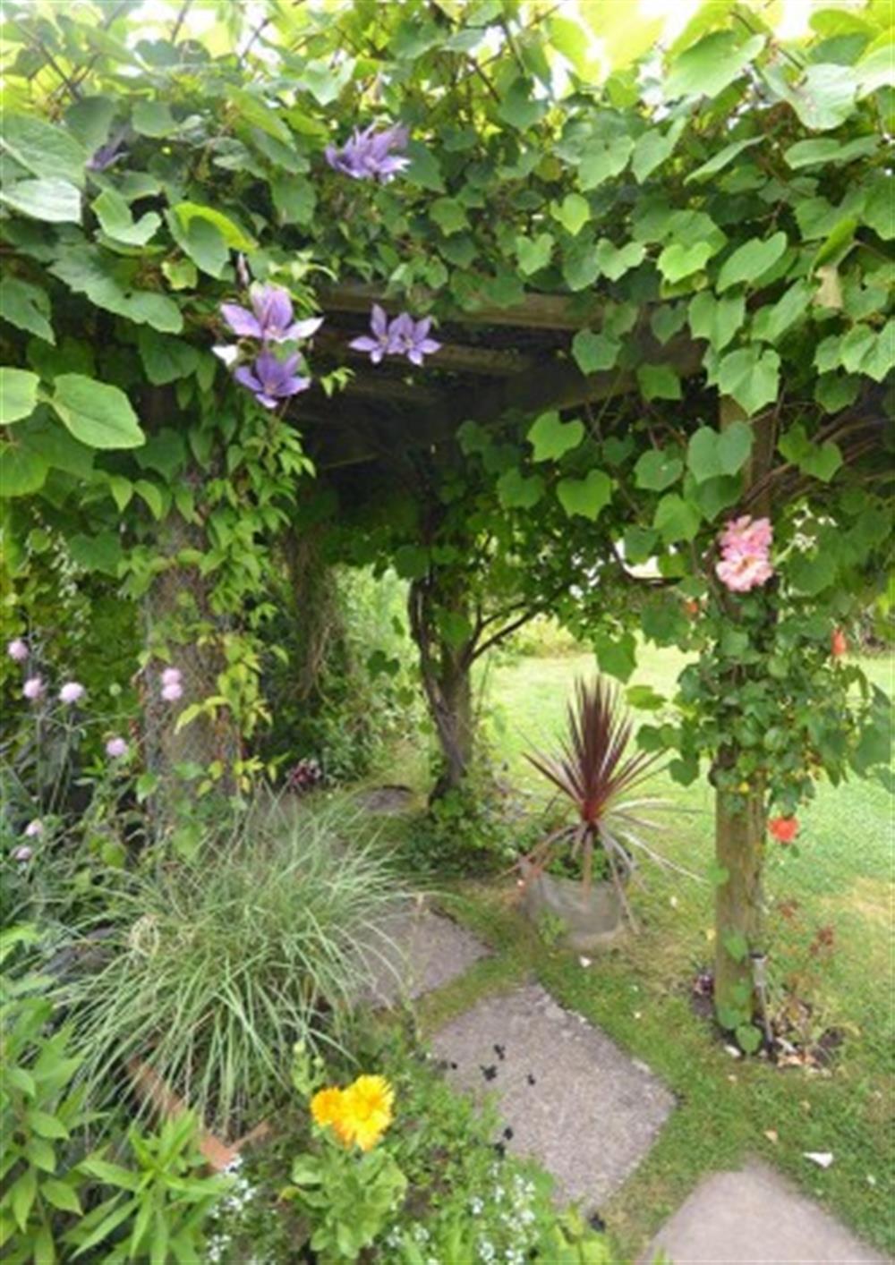 The beautiful gardens are a feature here at Little Perhay in Bridport