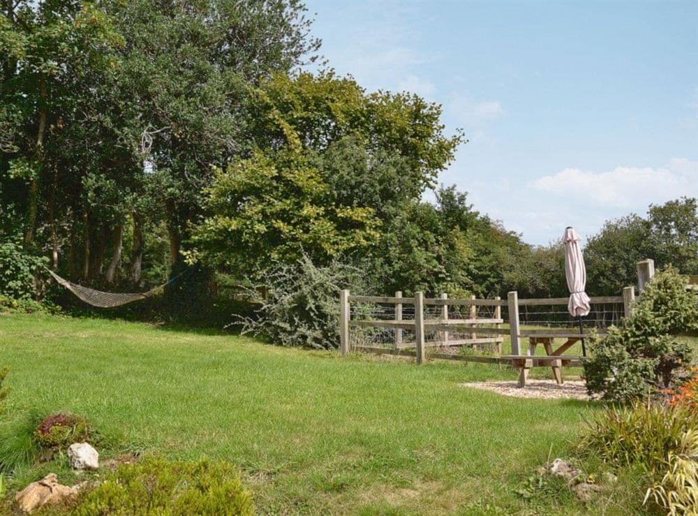 Garden (photo 2) at Little Shelvin Farm Cottage in Luppitt, near Honiton, Devon