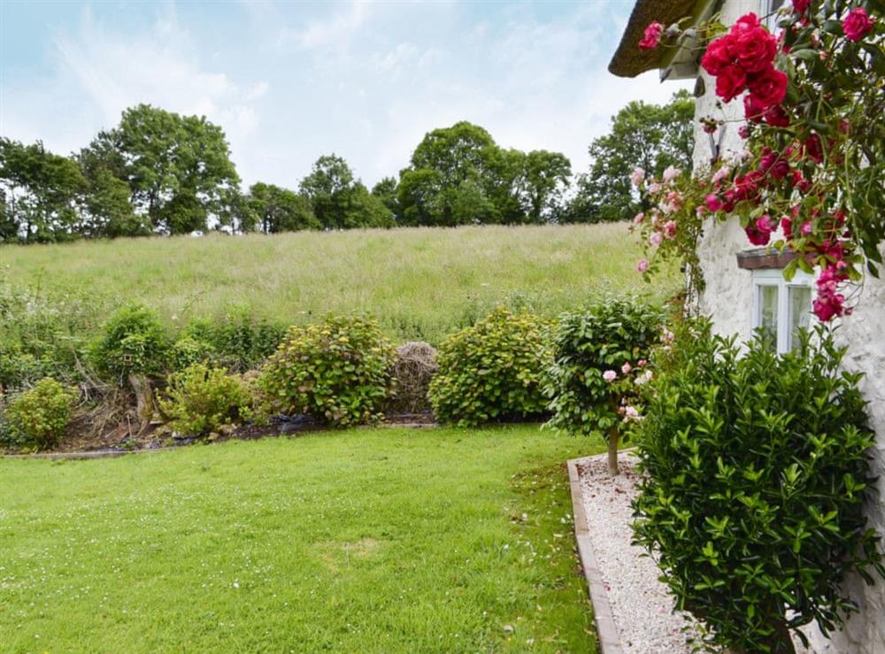 Situated in the beautiful countryside of Dorset at Little Thatch in Netherbury, near Beaminster, Dorset