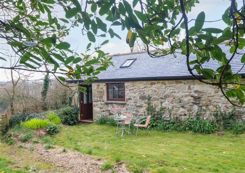 The garden at Little Tregarrick, Helston