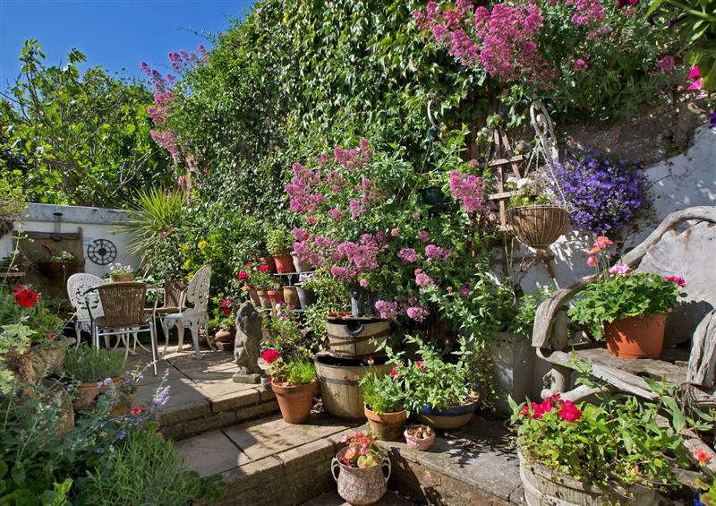 The garden at Little Underhill, Lympstone