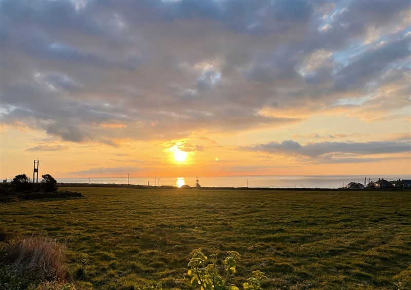 The garden at Little Victory, Pendeen