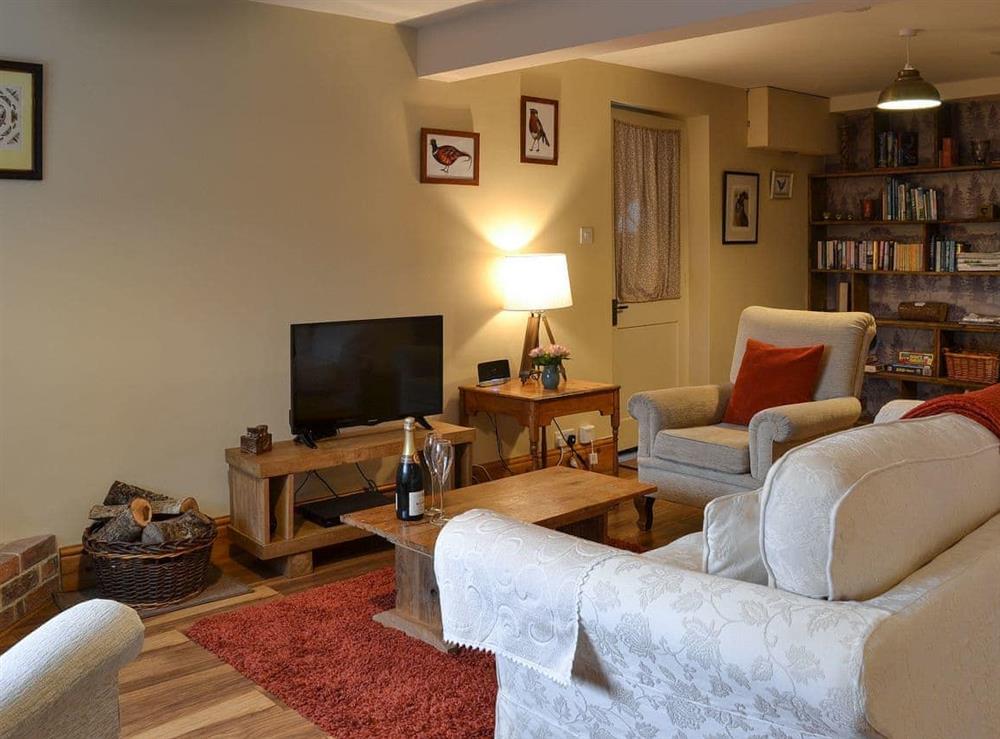 Cosy living room with TV at Little Warham Cottage in Beaford, near Torrington, Devon