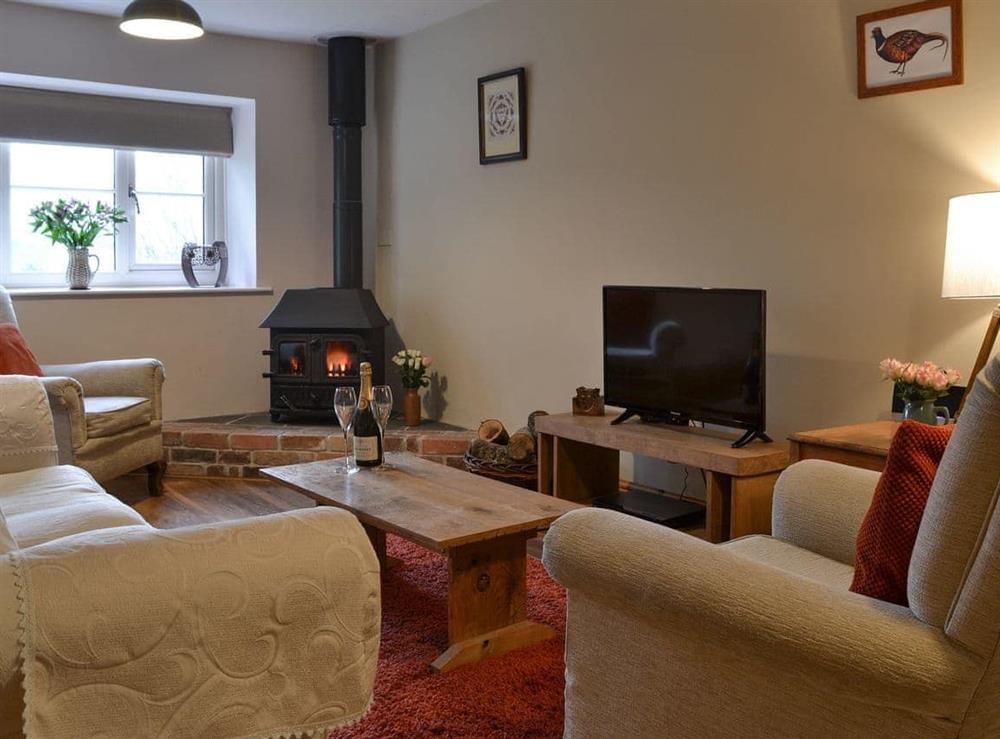 Living room with wood burner at Little Warham Cottage in Beaford, near Torrington, Devon