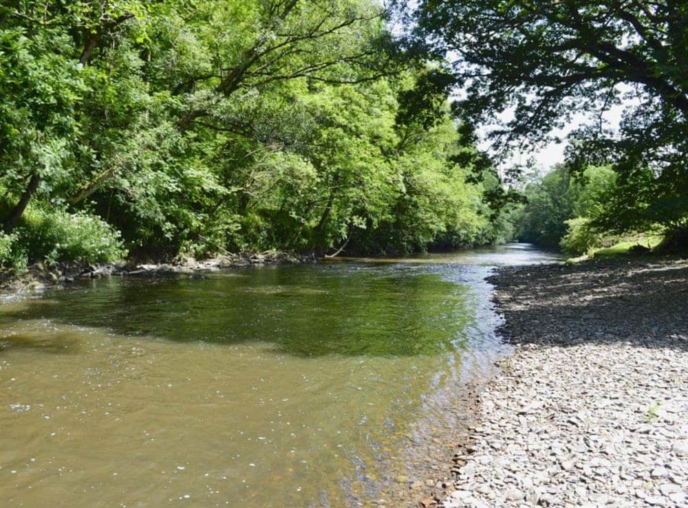 Privately owned 2 miles of river bank along the River Torridge at Little Warham Cottage in Beaford, near Torrington, Devon