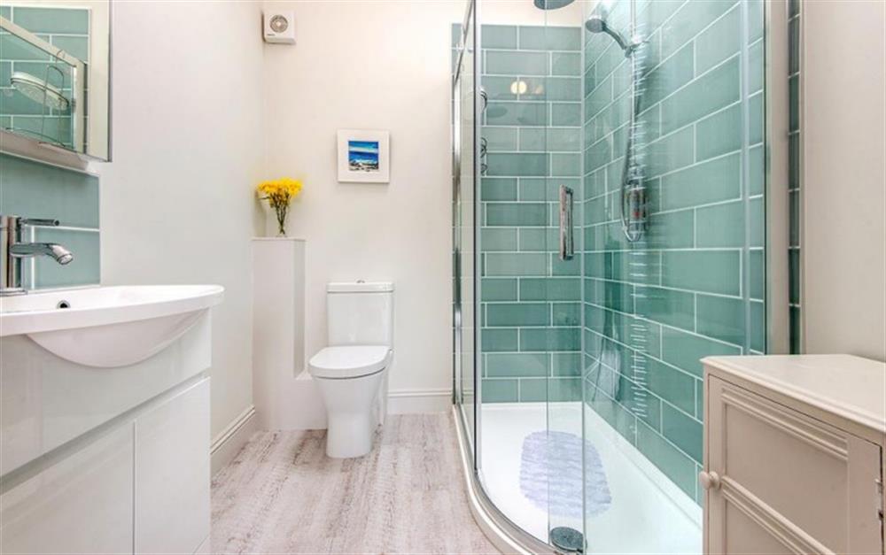Shower room with large walk-in shower cubicle, wash basin and WC. at Little Whittle in Bridport