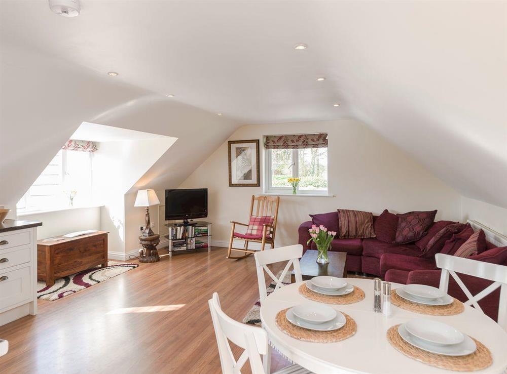 Stylish open-plan living space at Little Woodlands in Alnmouth, near Alnwick, Northumberland