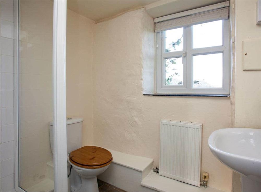 Shower room at Little Wren in Tresmorn, Bude, Cornwall., Great Britain