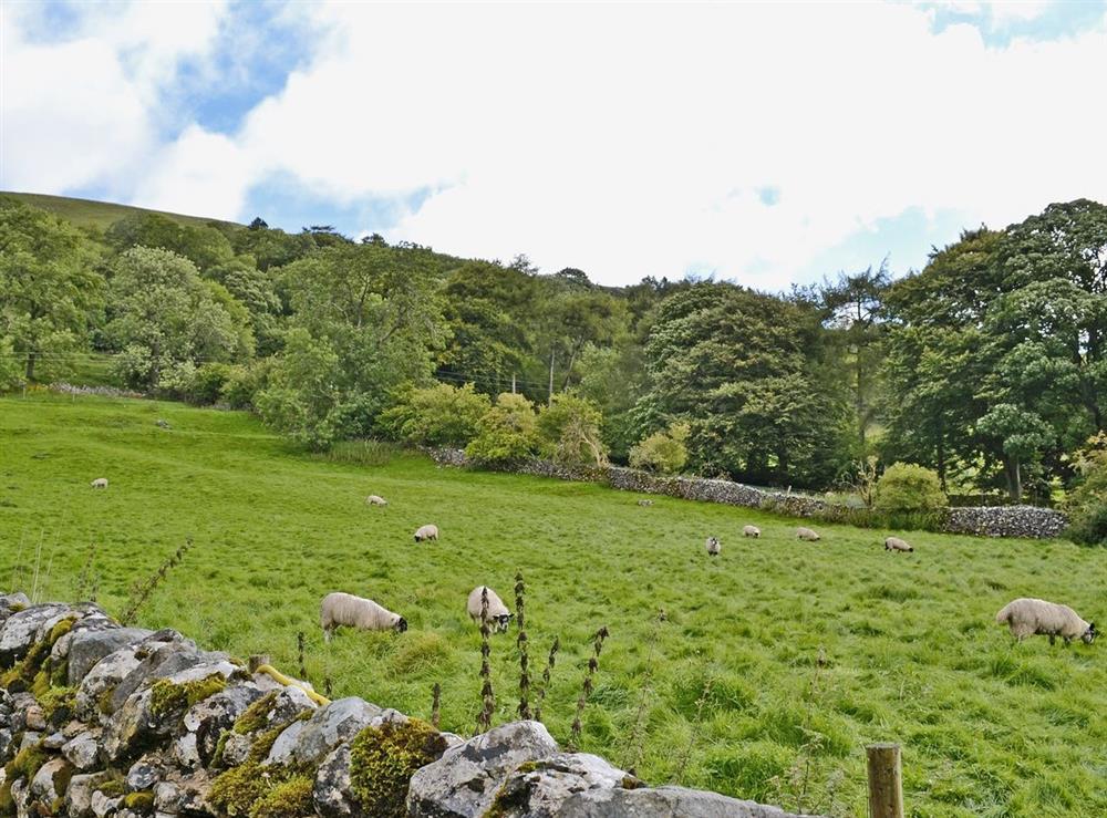 Surrounding area at Littondale in Stonelands Farmyard Cottages, Litton, Yorkshire Dales