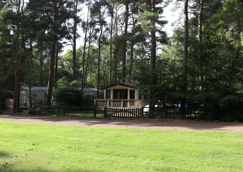 The garden at Living The Dream, Near Sheringham