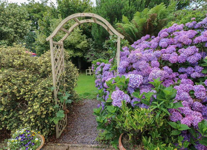 Enjoy the garden (photo 2) at Llaethdy Cottage, Castlemorris near Letterston