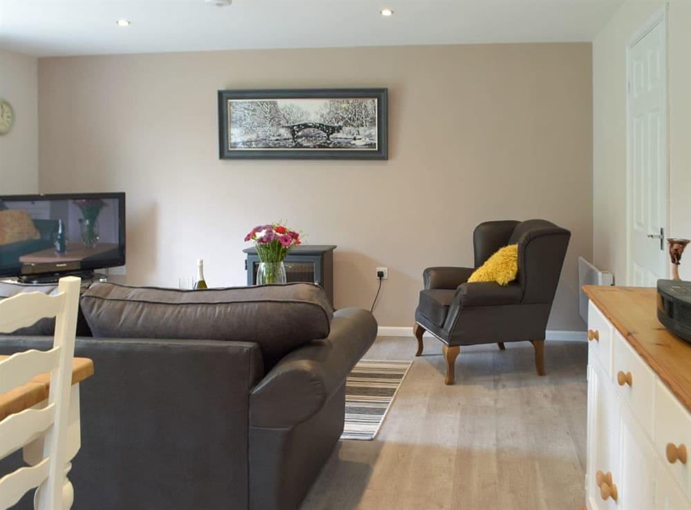 Open plan living space at Llain Cottage in Cross Inn, Dyfed