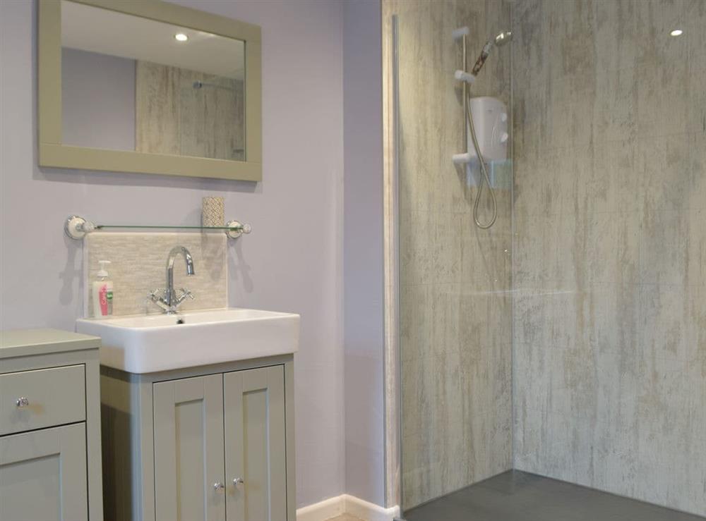 Shower room at Llain Cottage in Cross Inn, Dyfed