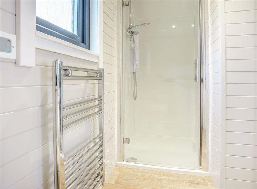 Shower room (photo 2) at Llain Pods- Llain Pod 1 in Llanboidy, near Laugharne, Dyfed