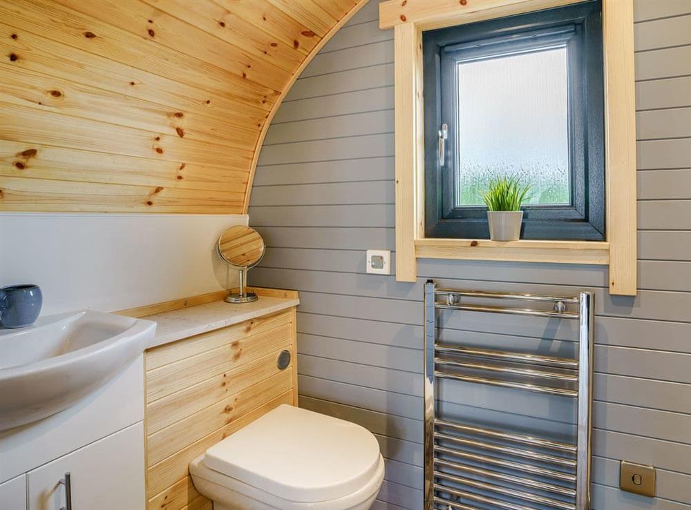 Shower room at Llain Pods- Llain Pod 2 in Llanboidy, near Laugharne, Dyfed