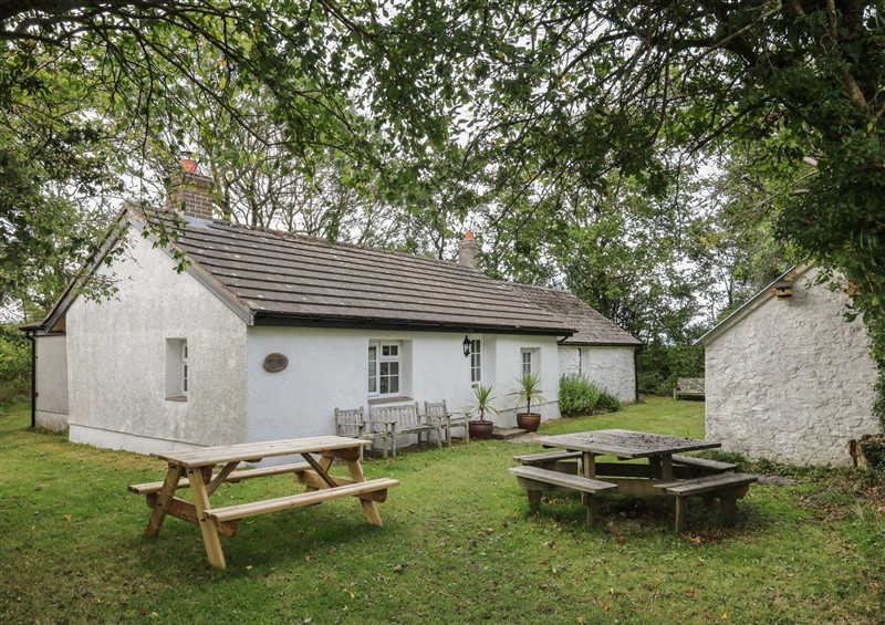 Enjoy the garden at Llainorfa, Maenygroes near New Quay