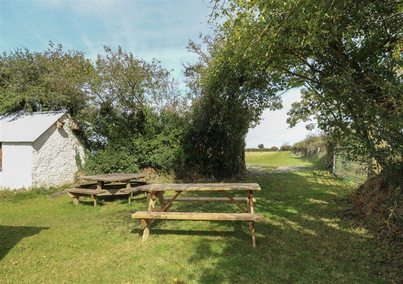 This is the garden at Llainorfa, Maenygroes near New Quay