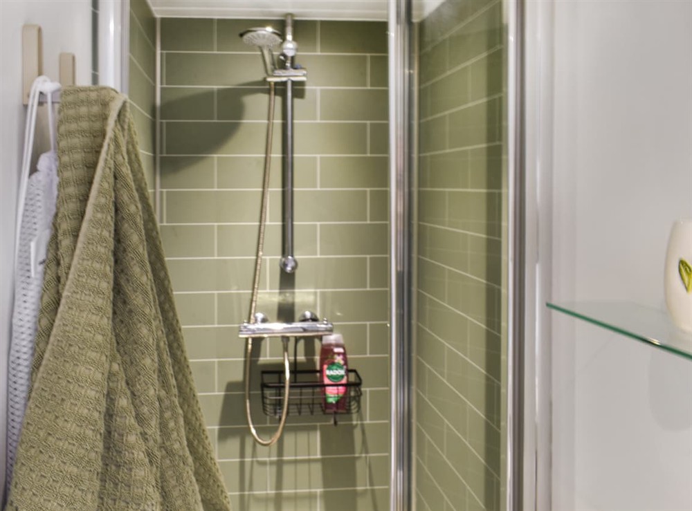 Bathroom at Llandremor Fawr Lodge in Pontarddulais, West Glamorgan