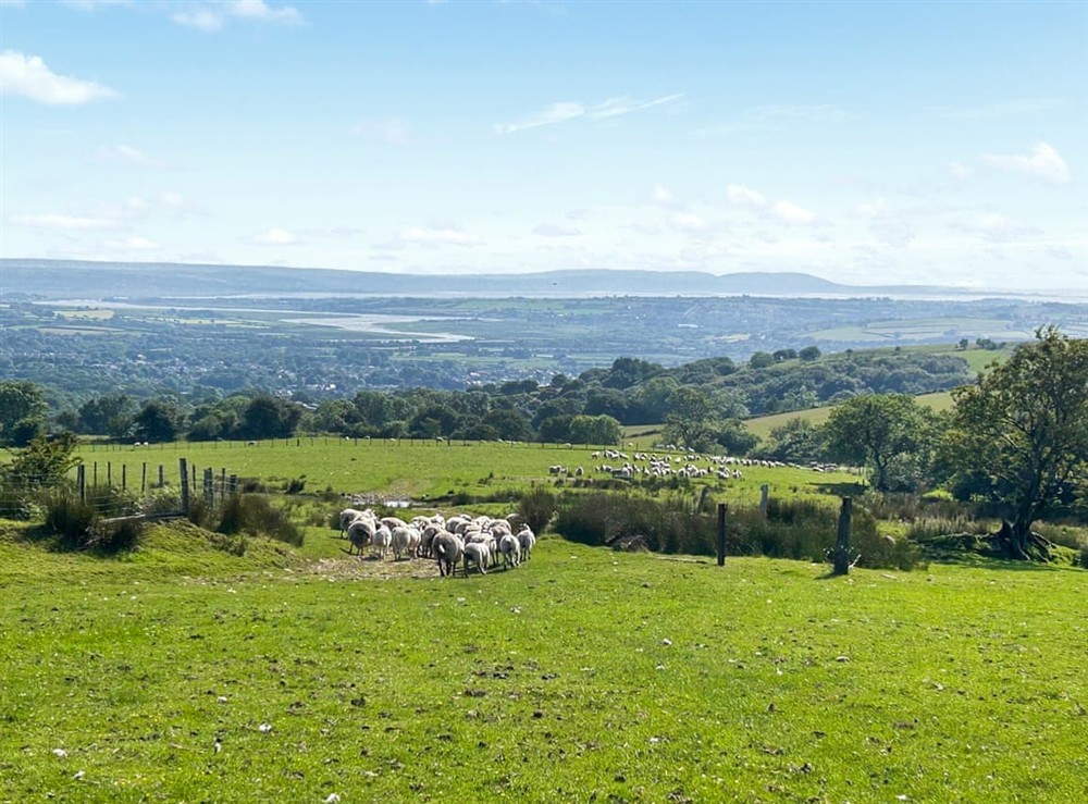 View (photo 2) at Llandremor Fawr Lodge in Pontarddulais, West Glamorgan