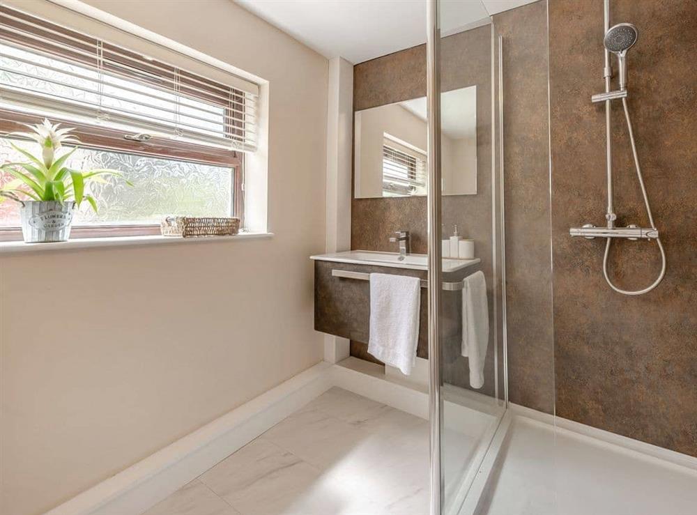 Shower room (photo 2) at Llanfair Hill Cottage in Gorsgoch, Dyfed