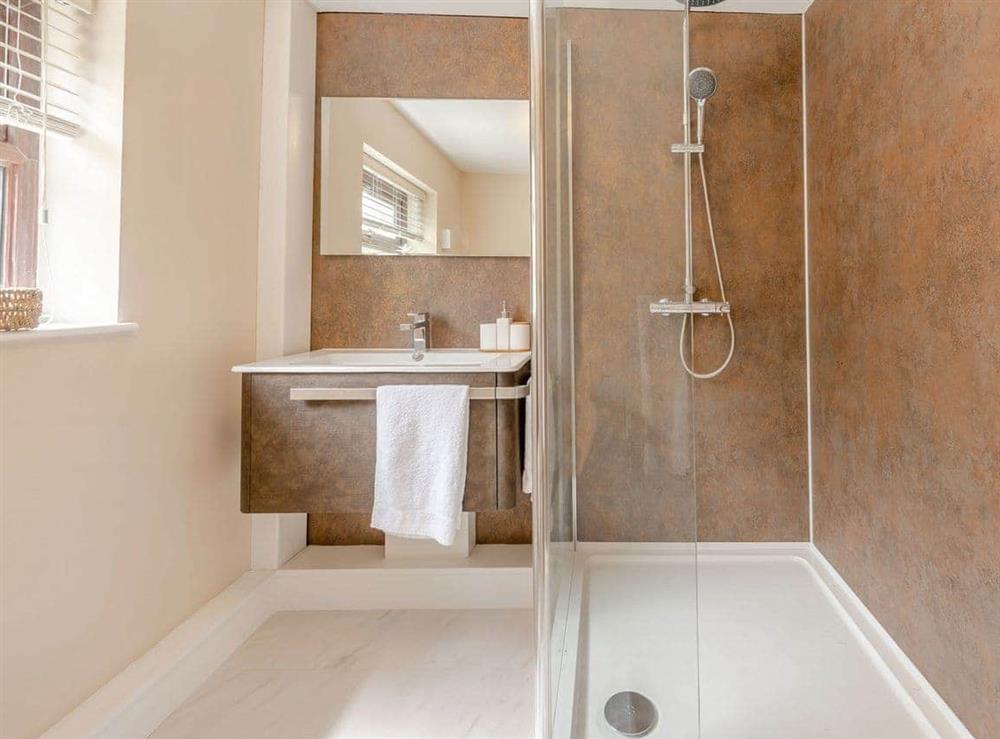 Shower room (photo 3) at Llanfair Hill Cottage in Gorsgoch, Dyfed