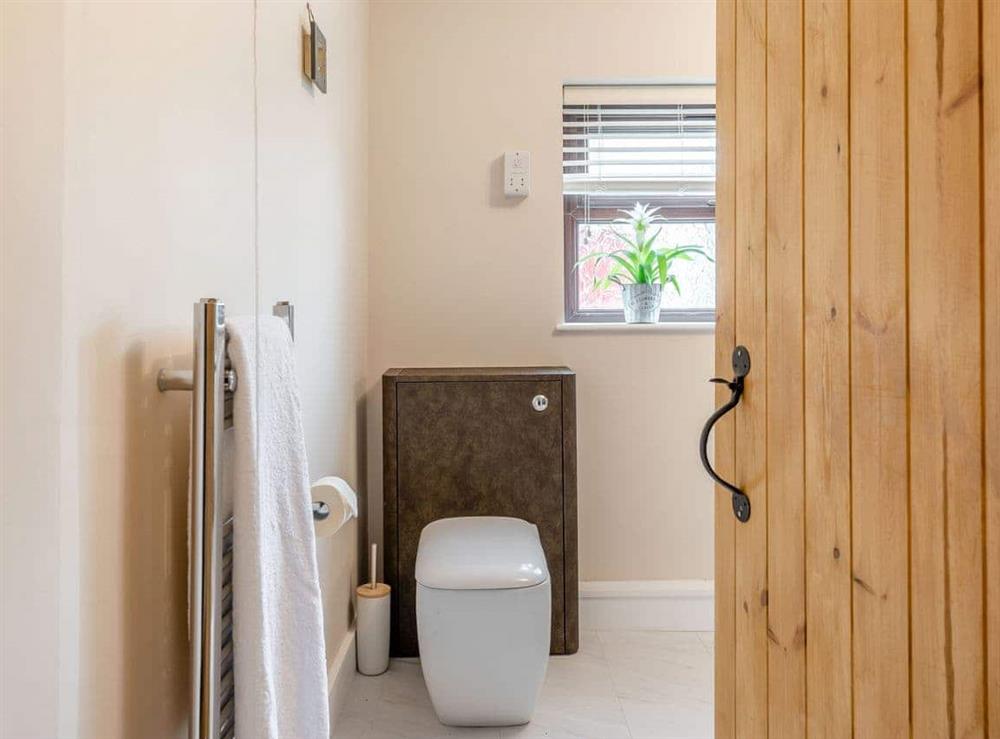 Shower room at Llanfair Hill Cottage in Gorsgoch, Dyfed