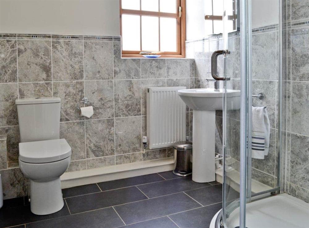 Shower room at Llanlliwe Cottage in Henllan Amgoed, near Narberth, Dyfed